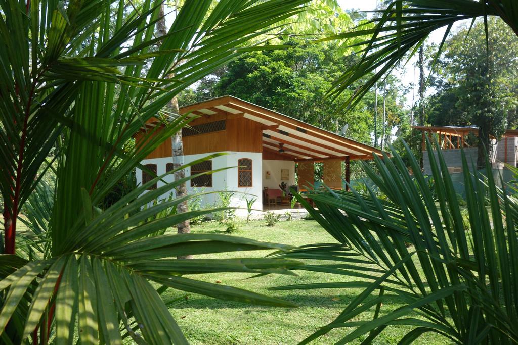 Los Delfines Lodge Puerto Viejo de Talamanca Pokoj fotografie