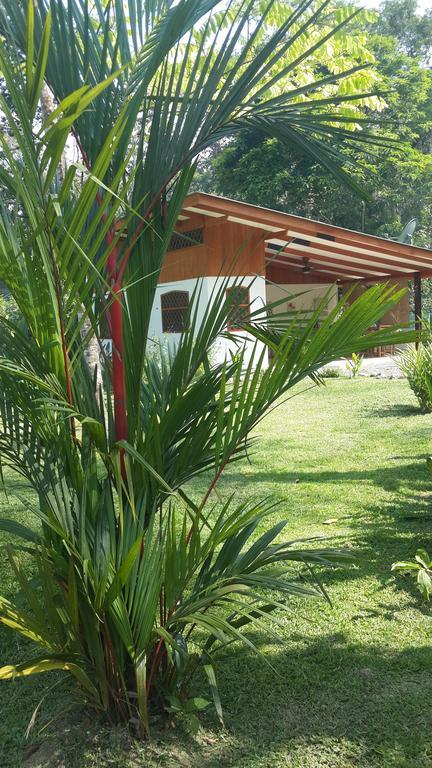 Los Delfines Lodge Puerto Viejo de Talamanca Pokoj fotografie