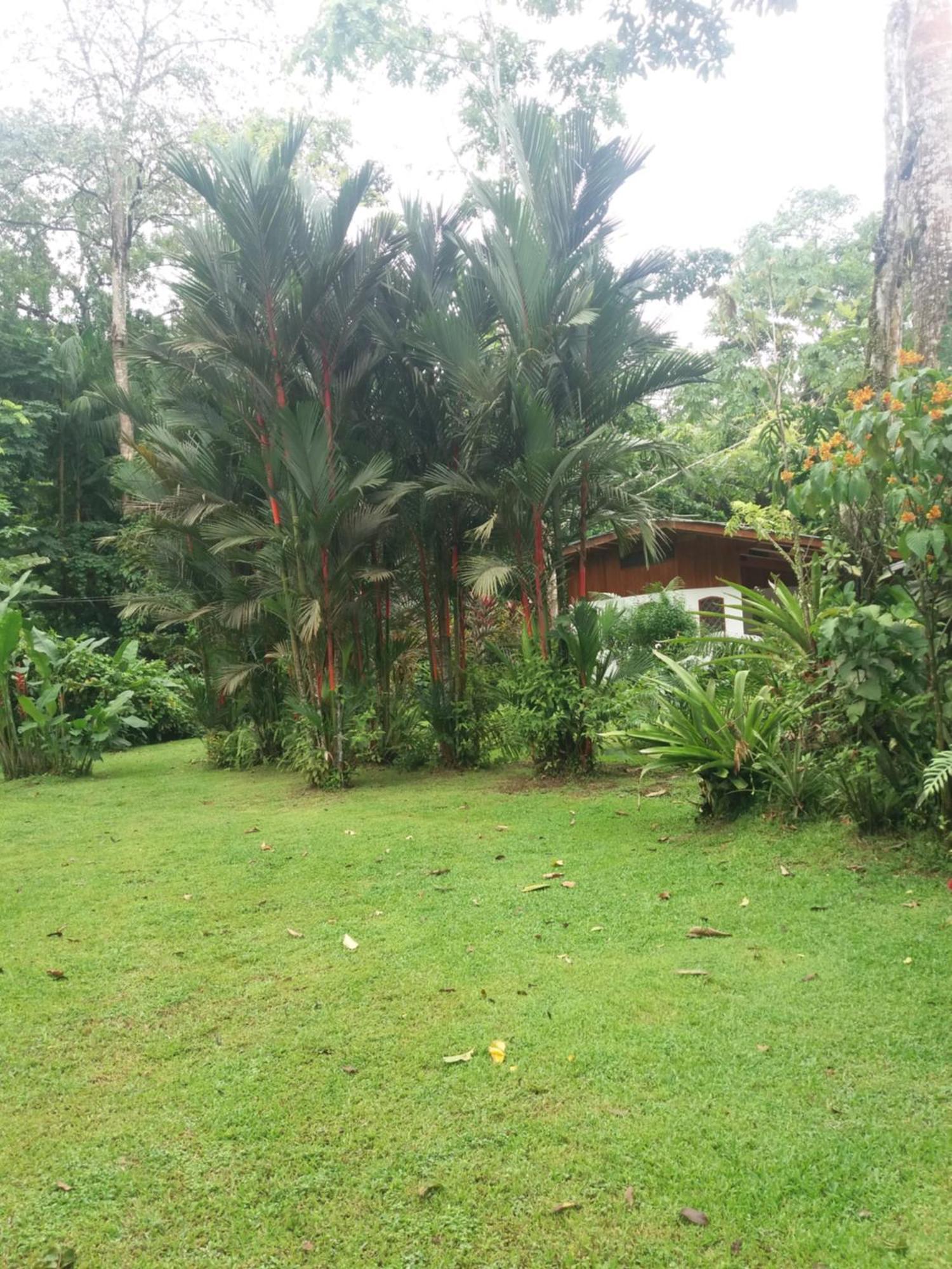 Los Delfines Lodge Puerto Viejo de Talamanca Exteriér fotografie